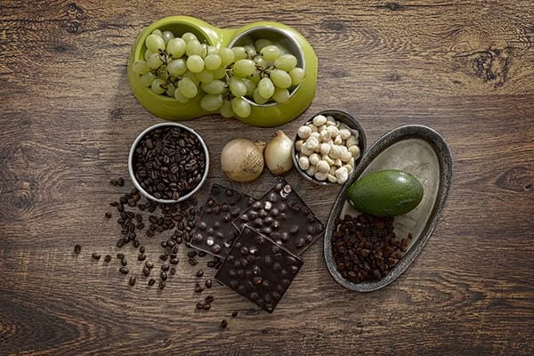 welke-voedingsmiddelen-mag-uw-hond-niet-eten