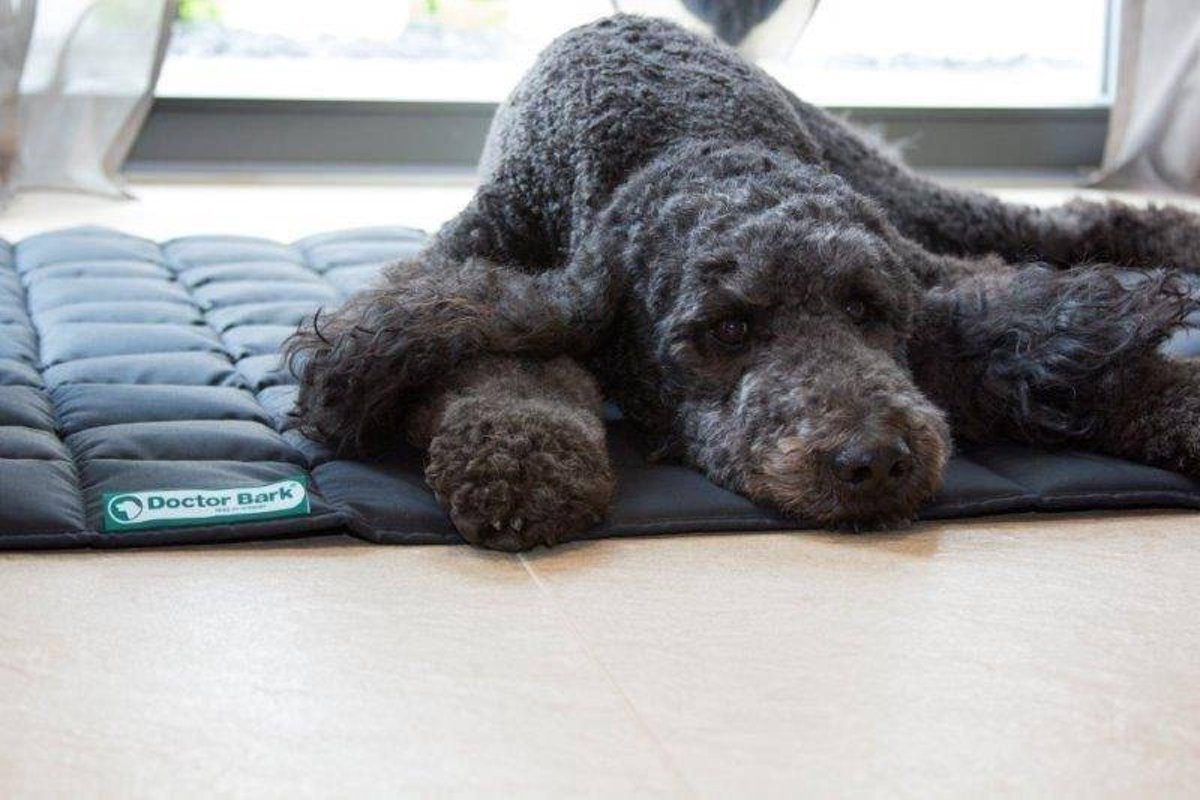 Doctor Bark Hondendeken met labradoodle Grijs