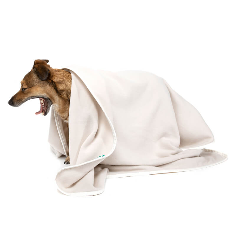 Dogline accessoires honden deken doctor bark fleece deken licht beige staand met deken over hond