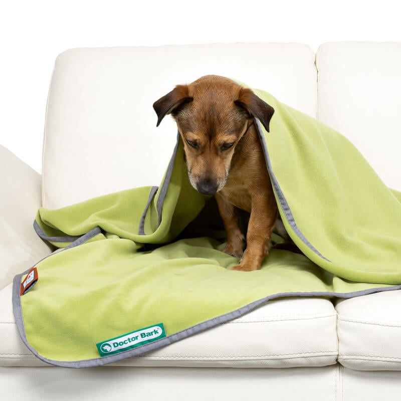 Dogline accessoires honden deken doctor bark fleece deken licht groen hond op bank 2