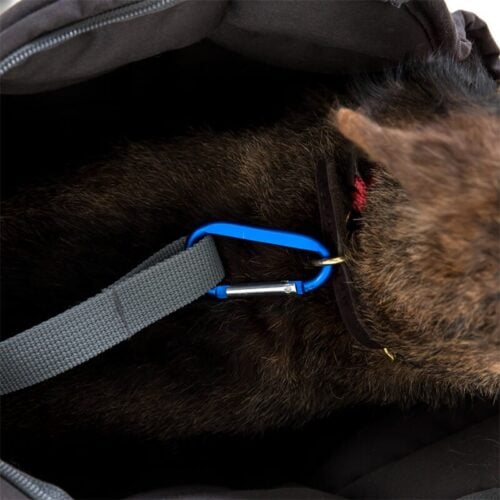 Alternative view of Doctor Bark Hondentas Grijs