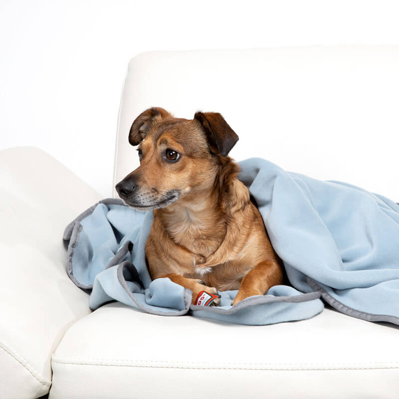 Doctor Bark Honden Fleece Deken Licht Blauw - Afbeelding 5