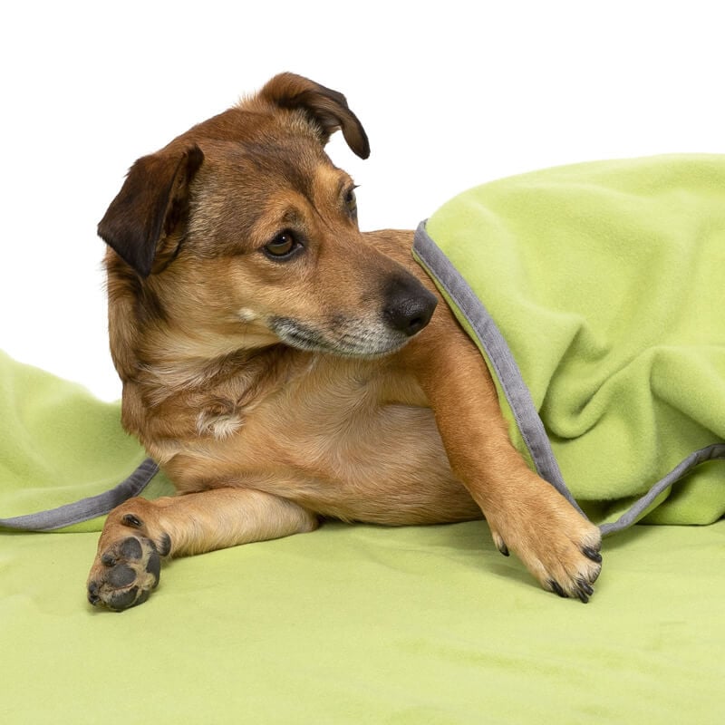 Doctor Bark Honden Fleece Deken Licht Groen - Afbeelding 8