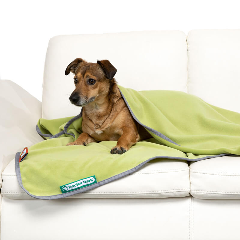 Doctor Bark Honden Fleece Deken Licht Groen - Afbeelding 3